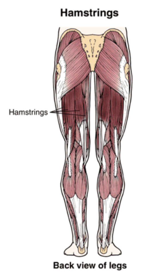 How to diagnose, treat and prevent Hamstring Strains